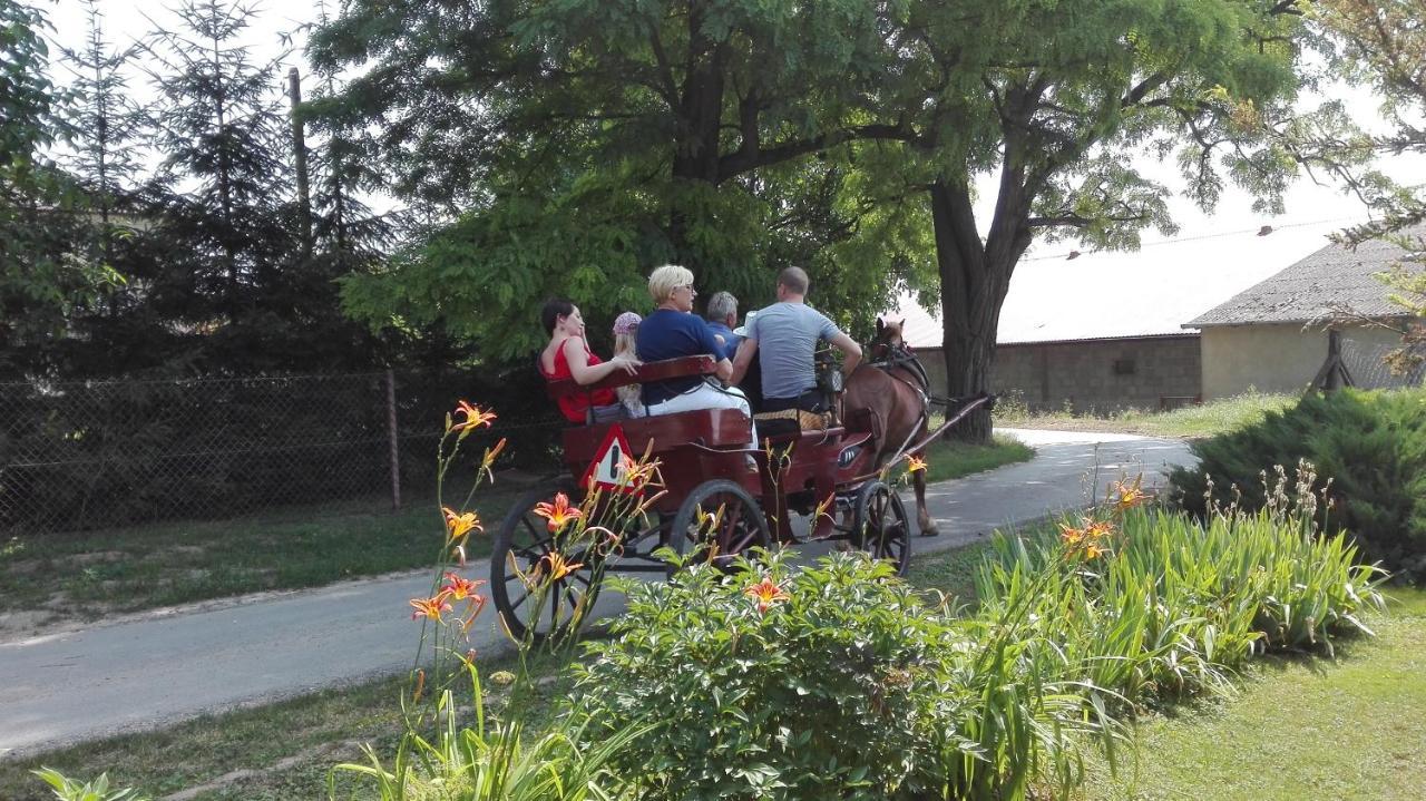 Swieże Poddasze u Przybyszów Andruszkowice Exterior foto